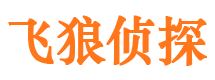 定日市私家侦探